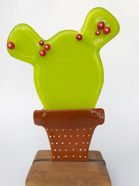 Cactus (more variants)