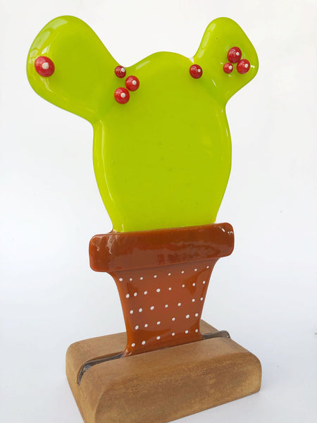 Cactus (more variants)