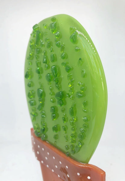 Cactus (more variants)