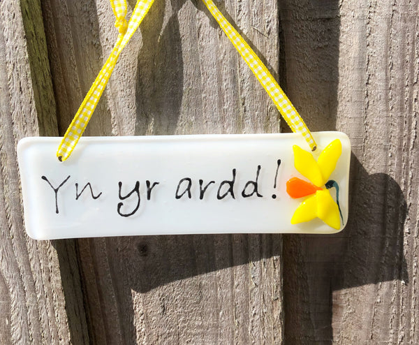 Yn yr ardd daffodil