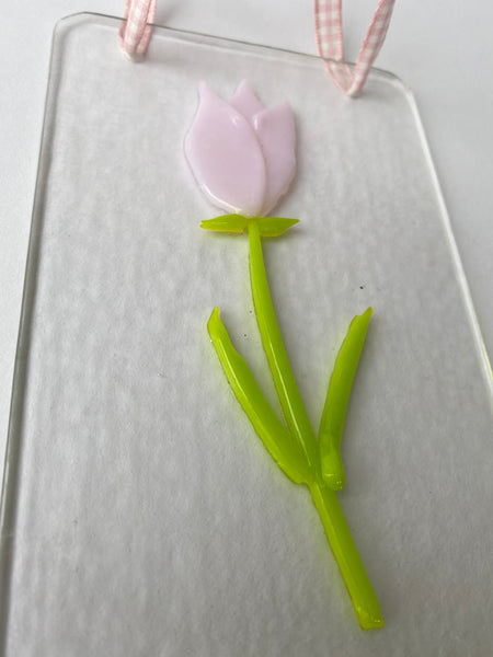 Pink Tulip