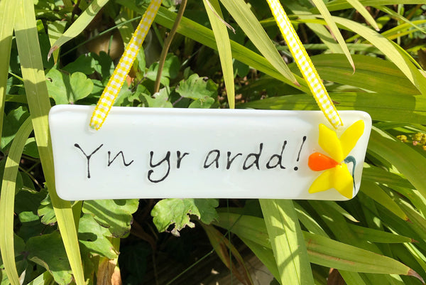 Yn yr ardd daffodil