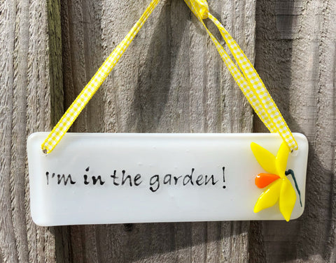 In the garden daffodil