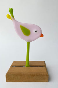 Pink Chirpy Bird